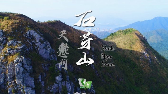 海牛对阵泰山焦点战：叶博亚PK泽卡，看球星对决！