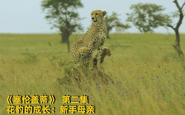 法蒂倾向留队，坚守价值面临挑战