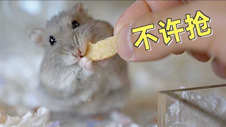 青少年阶段一月出生太吃香了