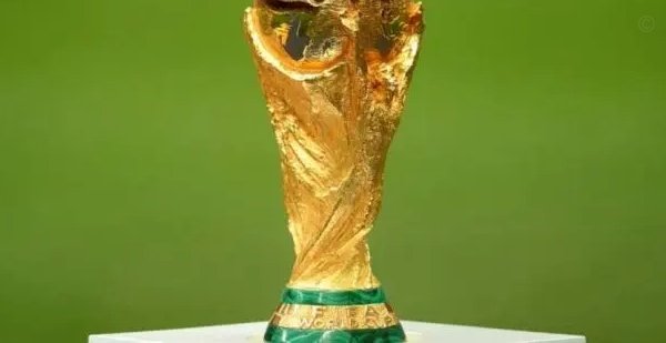 国内媒体：上海五星体育、广东体育拿下美加墨世界杯版权