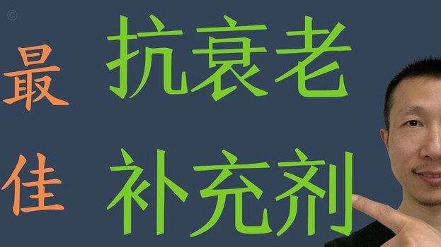 葡萄牙主力基本确定，仅左中卫和两条边路人员需要再做抉择