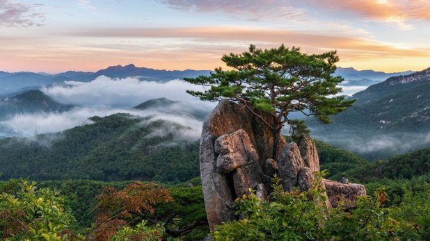 官方：30岁前山东泰山中卫马塞尔加盟泰超球队泰港