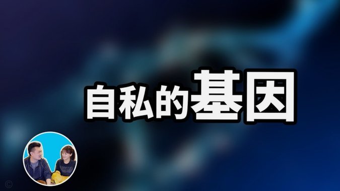 以后老二被证明不行了，董粉该吹谁？
